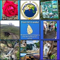 Beauty of Sri Lanka package details in Arabic language